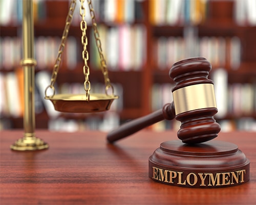 Physical Therapy Employment Law - Image