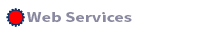Web services category badge for physical therapy marketing and website design